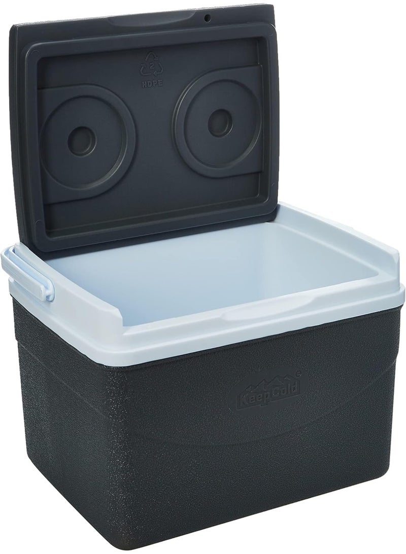 كوزموبلاست صندوق ثلج للنزهات من كوزمو بلاست، سعة 5 لتر، يتسع لـ 6 علب، يحافظ على الثلج لمدة تصل إلى يوم واحد، رمادي - Image 2