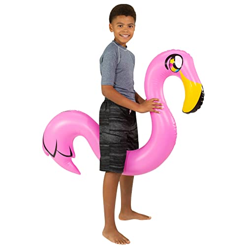 PoolCandy Miami Flamingo RideOn Inflatable Swim Noodle Pool Float 64 Inch Pink Animal Water Lounger with Photo RealPrint Design Heavy Duty PVC Buoyancy Aid Supports Up to 200 lbs - Image 1
