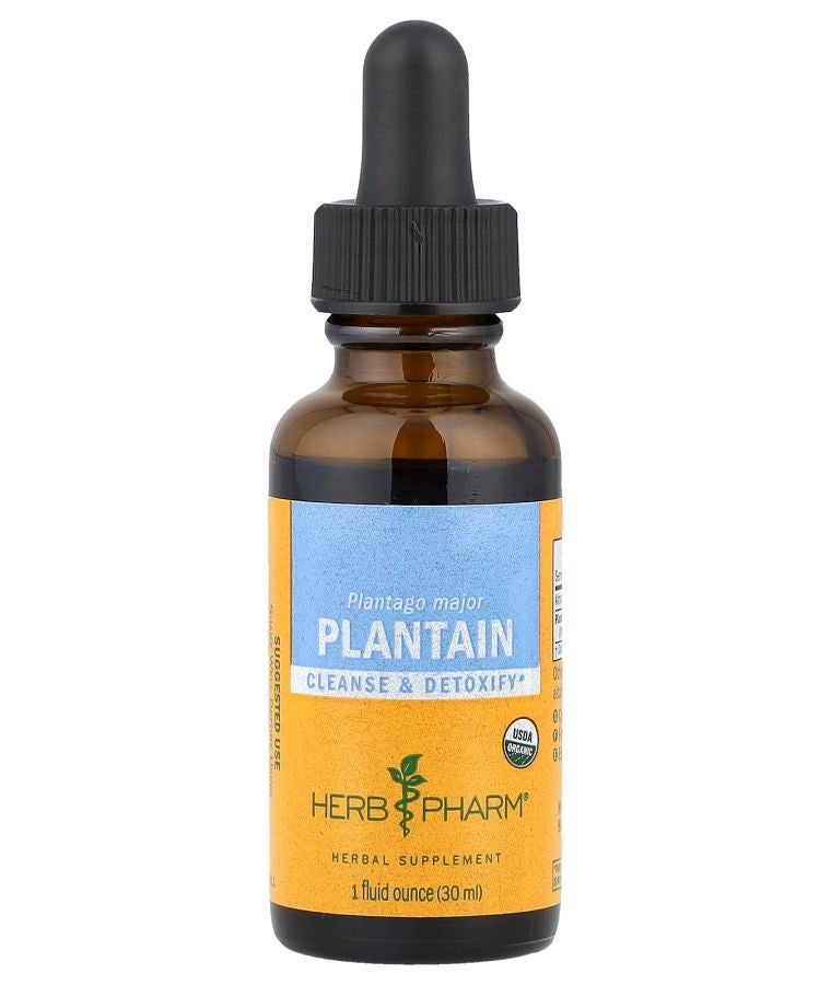 Plantain 1 fl oz (30 ml)
