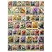 MyPuzzle.com MyPuzzle State Flowers Series 50 State Flowers Collage Vol 2 Premium 500 Piece Jigsaw Puzzle for Adults - Image 2