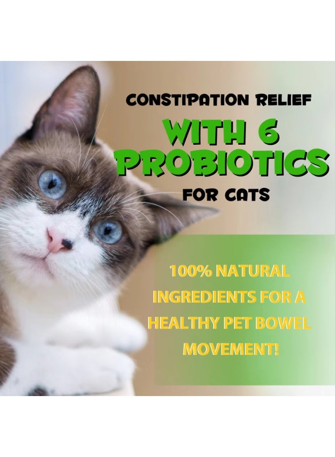 Oimmal علاج الإمساك للقطط 60 مل علاج الإمساك للقطط مكملات البروبيوتيك مع 6 بروبيوتيك فيتامينات، تساعد في دعم الهضم وصحة الأمعاء، وتحسين المناعة لجميع أحجام وأعمار السلالات - Image 4