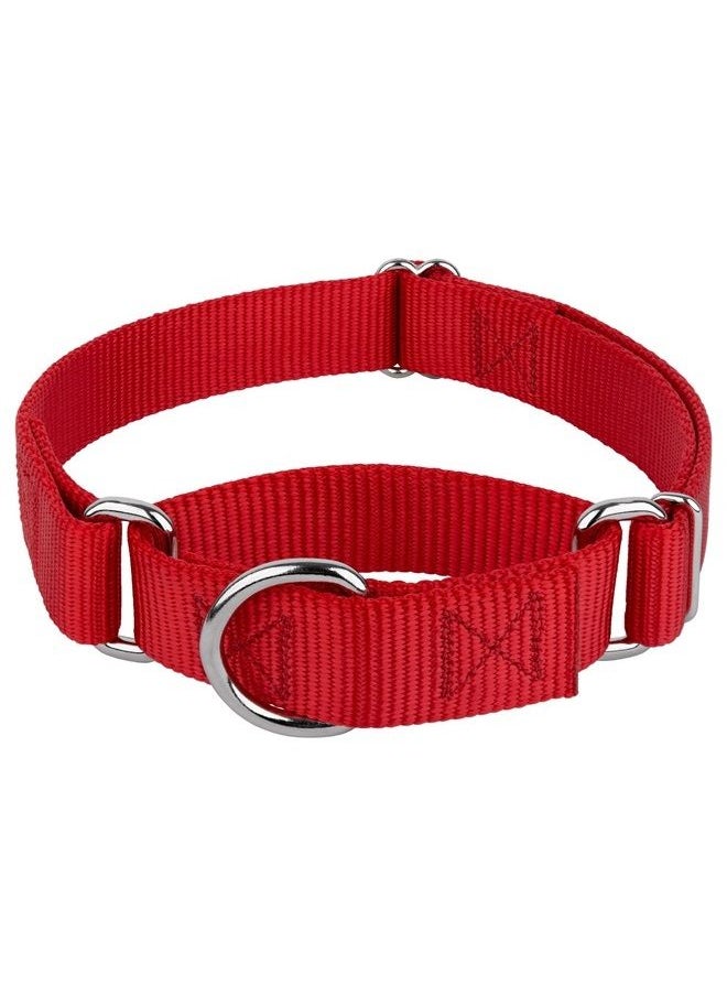Country Brook Design Country Brook Petz - Martingale Heavyduty Nylon Dog Collar (Medium, 1 Inch Wide, Red) 