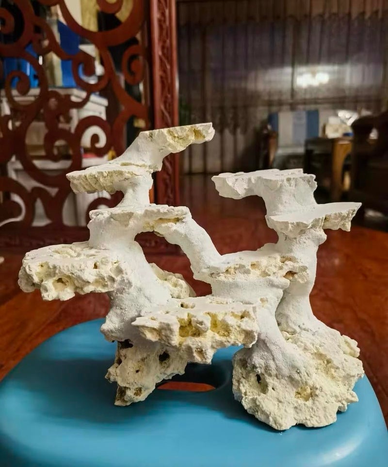 YZHZOM Dry Base Rock for Aquarium White Coral Ornament Sea Base Rocks for Aquarium Aquascaping (7lb,Mix Size & Shape) - Image 5