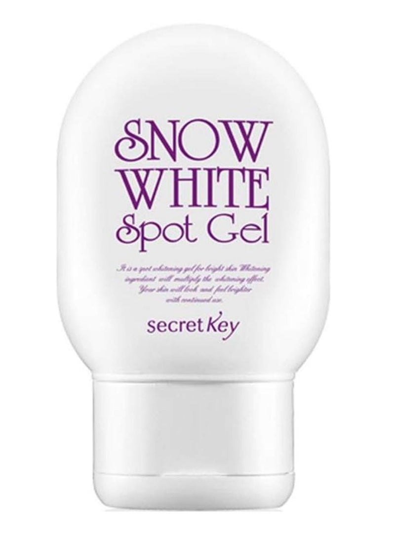 Secret Key Secret K Snow White Spot Treatment Gel, 65 ml - Image 2