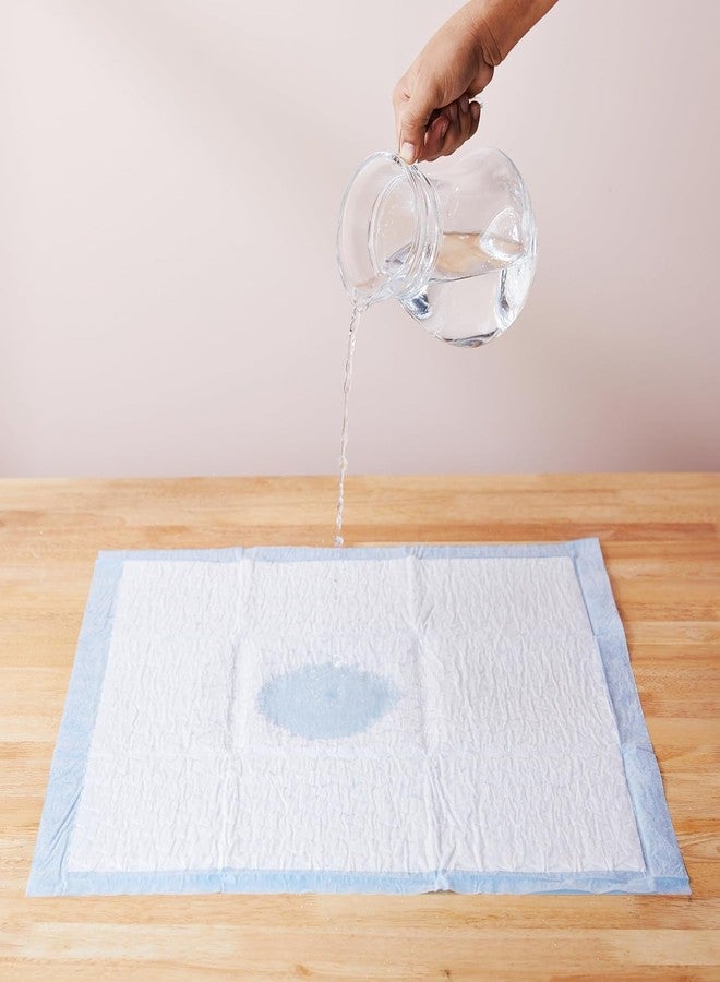 كير فليكشن فوط تدريب الكلاب والجراء من كيرفليكشن، بتصميم سريع الجفاف مانع للتسرب، لامتصاص فائق، مقاس 24 × 23 بوصة - عبوة من 20 قطعة - Image 2