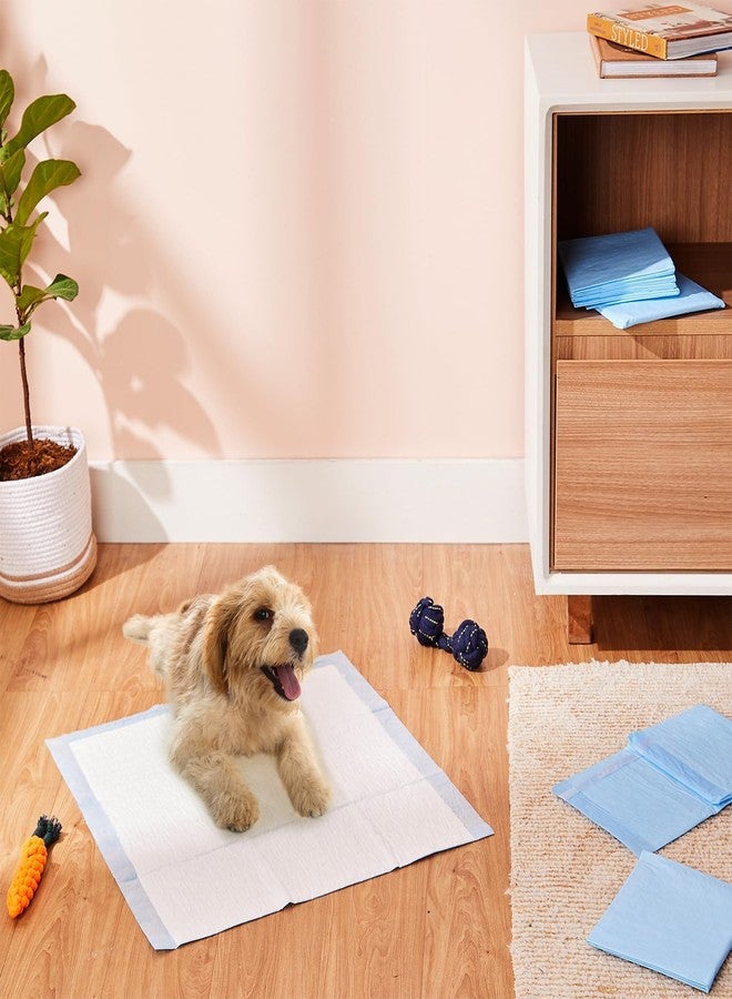 كير فليكشن فوط تدريب الكلاب والجراء من كيرفليكشن، بتصميم سريع الجفاف مانع للتسرب، لامتصاص فائق، مقاس 24 × 23 بوصة - عبوة من 20 قطعة - Image 4