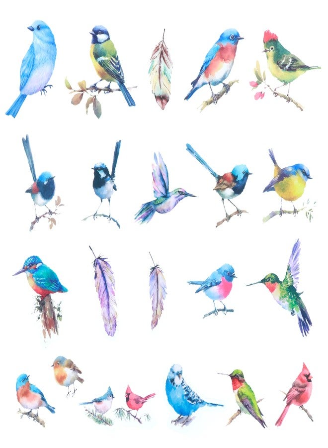 Aster 80Pcs Fly Birds Stickers Clear Bird Stickers Decals for Kids Children, PET Bird Sticker Craft Sticker for Scrapbooking, Card,Laptop,Wall, Window (20 Styles, 1-2 Inch) - Image 2