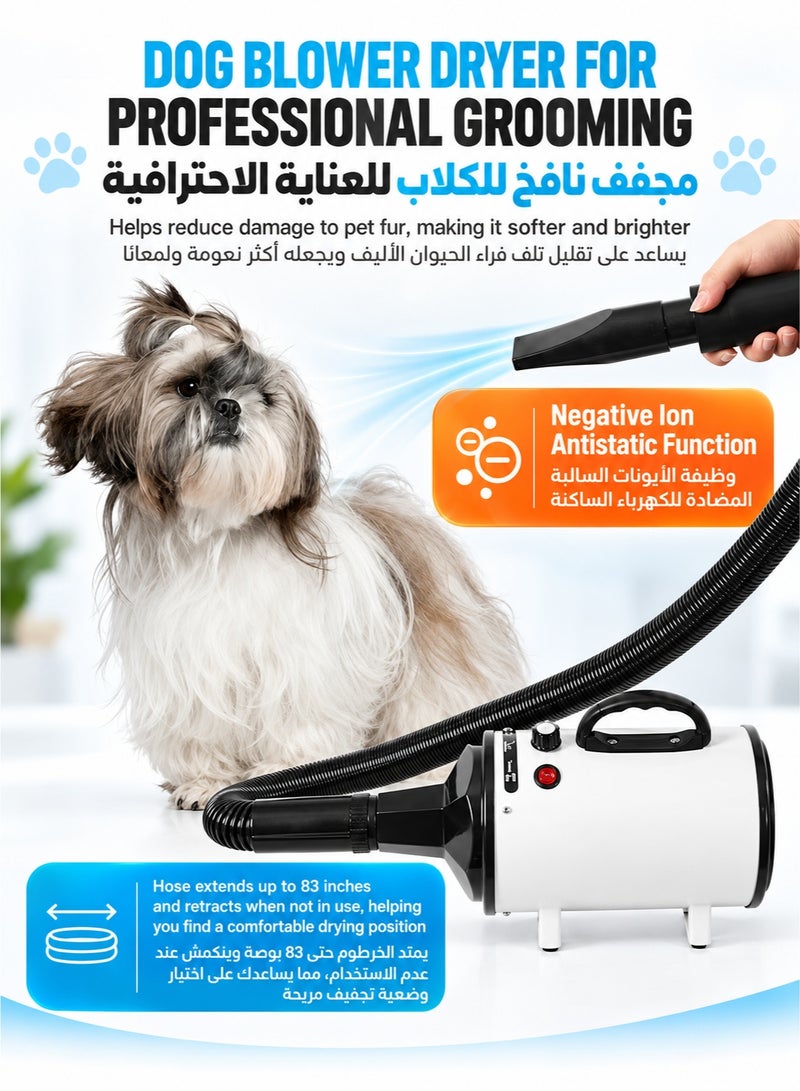XiuWoo Pet Water Blower Large Dog Hair Dryer High Power Low Noise Dog Hair Drying Box Cat Grooming - Image 2