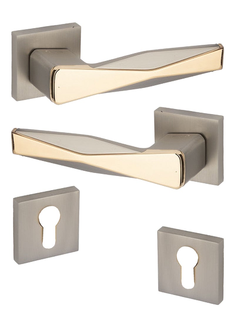 Lozan Heavy Door Handles Pair Silver / Golden 