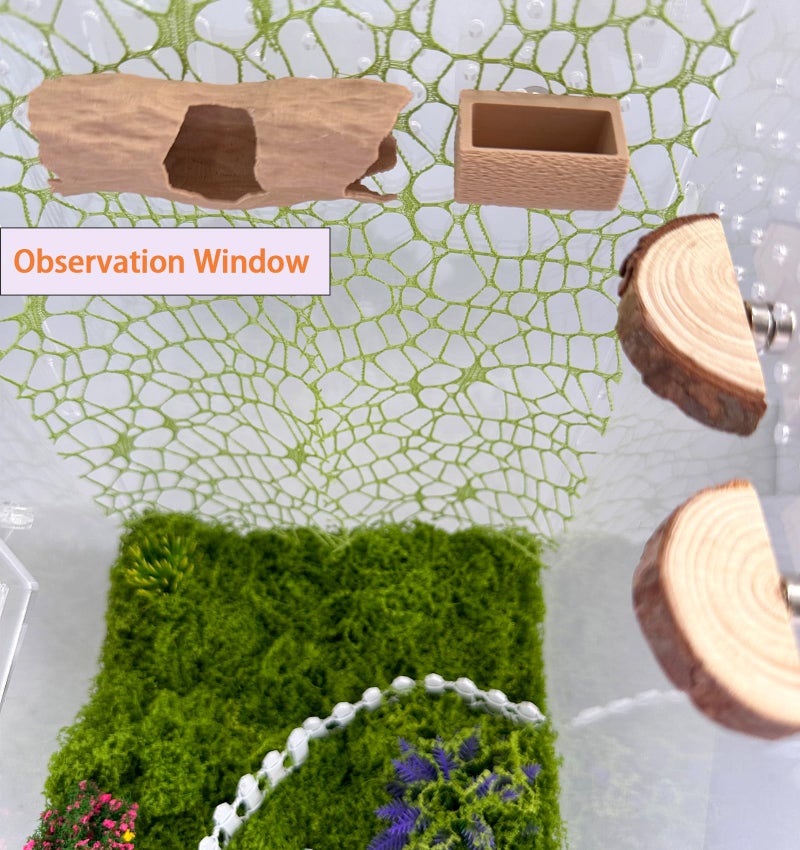 Okueejur 6Pcs Jumping Spider Accessories Set,Tree Jumping Spider Climbing Toy with Cave, Jumping Spider Feeder,2 Wooden Platforms and 2 Green Moss Ribbons,Small Reptile Enclosure Decoration Accessories - Image 5