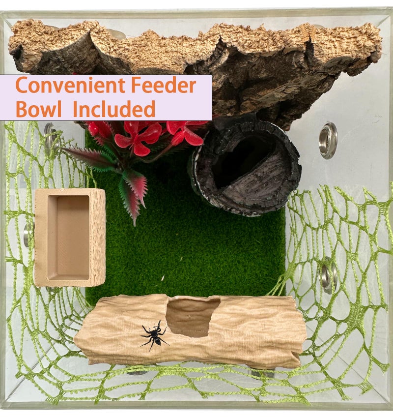 Okueejur 6Pcs Jumping Spider Accessories Set,Tree Jumping Spider Climbing Toy with Cave, Jumping Spider Feeder,2 Wooden Platforms and 2 Green Moss Ribbons,Small Reptile Enclosure Decoration Accessories - Image 3