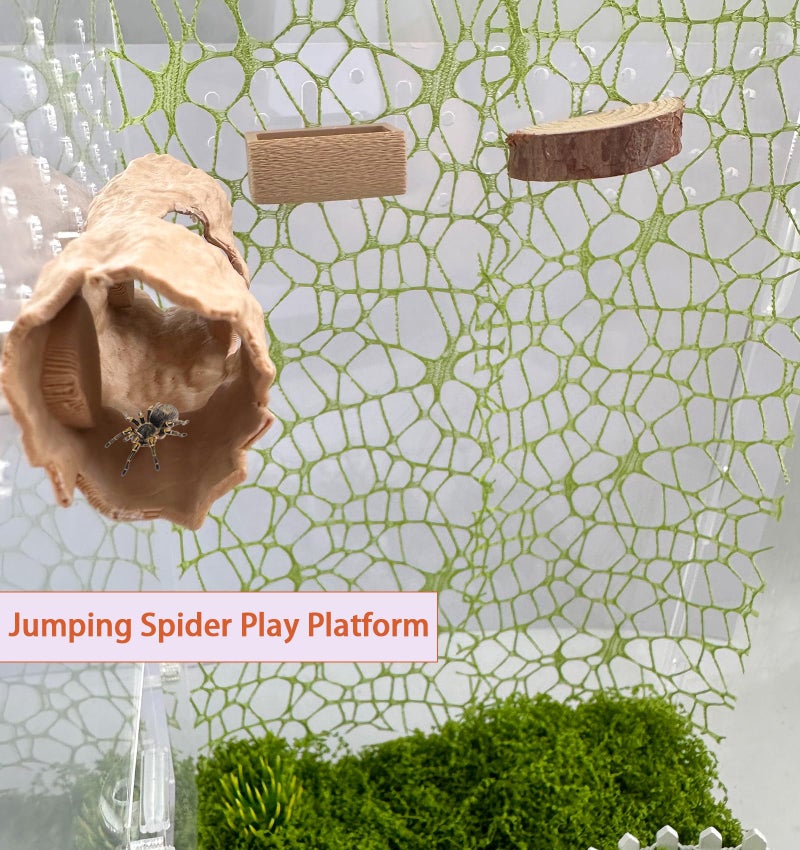 Okueejur 6Pcs Jumping Spider Accessories Set,Tree Jumping Spider Climbing Toy with Cave, Jumping Spider Feeder,2 Wooden Platforms and 2 Green Moss Ribbons,Small Reptile Enclosure Decoration Accessories - Image 4