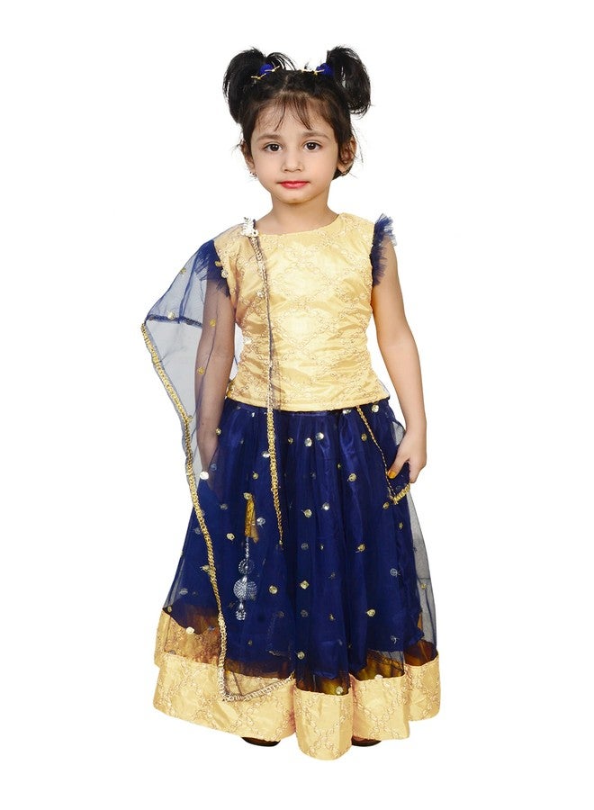 HIBA Lehenga choli for girls navy blue 18-24 Months - Image 2