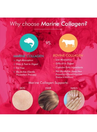 Collagen Gummies 60 Gummy - view 3