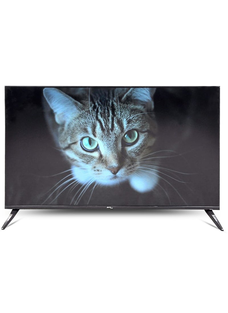 SKYLINE SkyLine 43 Inch FHD Frameless LED TV - 43NF01  - Image 1