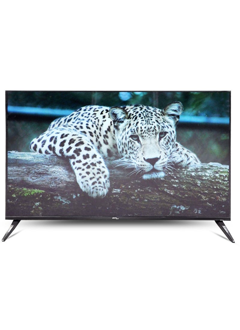 SKYLINE SkyLine 43 Inch FHD Frameless LED TV - 43NF01  - Image 2