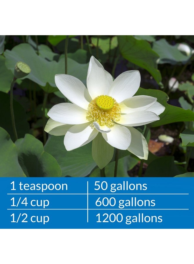 API Pondcare Microbial Algae Clean Biological Inhibitor Of Green Water, Alternative Approach To Algae Control, 16Ounce Bottle - Image 5