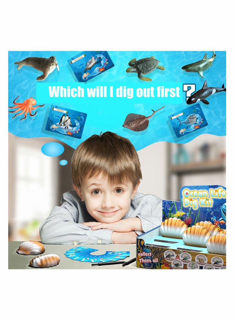 Y&D Archaeological excavation toys 12 Different Fossil/Eggs with Excavation Kits， Educational Science Gifts for Kids Party Archaeology Paleontology Toy (Ocean fossils)  - Image 4