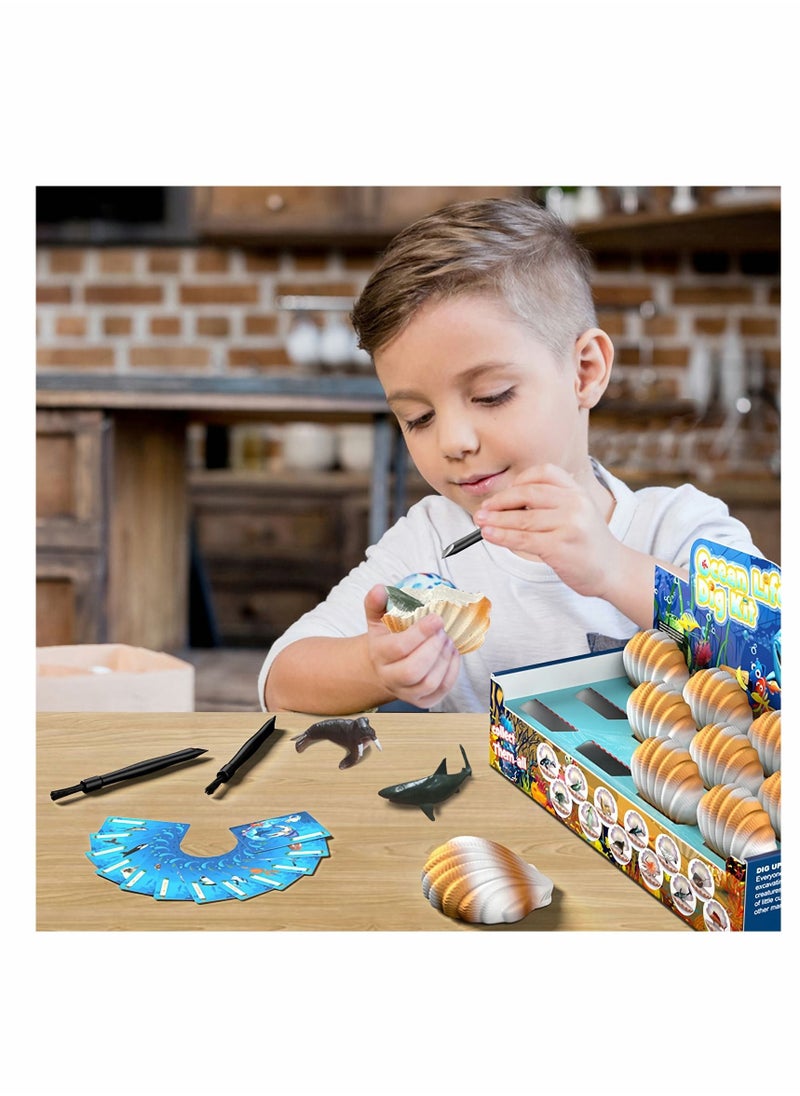 Y&D Archaeological excavation toys 12 Different Fossil/Eggs with Excavation Kits， Educational Science Gifts for Kids Party Archaeology Paleontology Toy (Ocean fossils)  - Image 2