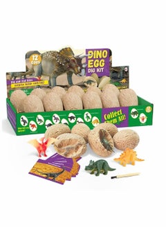 Y&D Archaeological excavation toys 12 Different Fossil/Eggs with Excavation Kits,Excavation Educational Science Gifts for Kids Party Archaeology Paleontology Toy (Dinosaur Eggs)  - Image 1