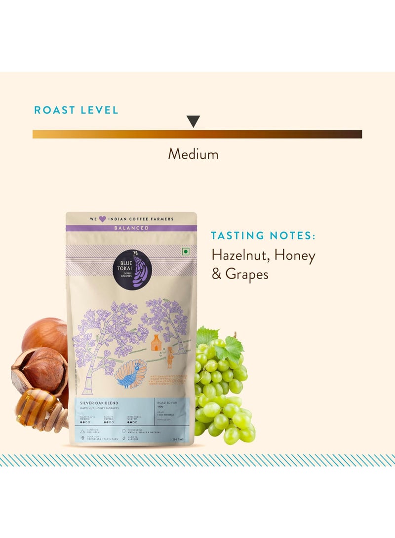 Blue Tokai Coffee Roasters – Silver Oak Cafe Blend | Medium Roast | Whole Beans | 500 g - Image 3