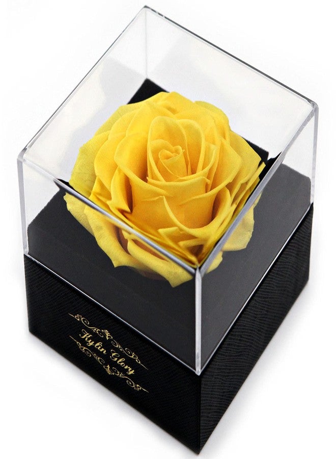 Kylin Glory Fresh Cut Flower Preserved Rose for Women Mom Wife Girlfriend - Flower Gift Real Rose Decor for Mother's Day Valentine's Day Wedding Party Celebration Birthday Anniversary (Yellow) - Image 1