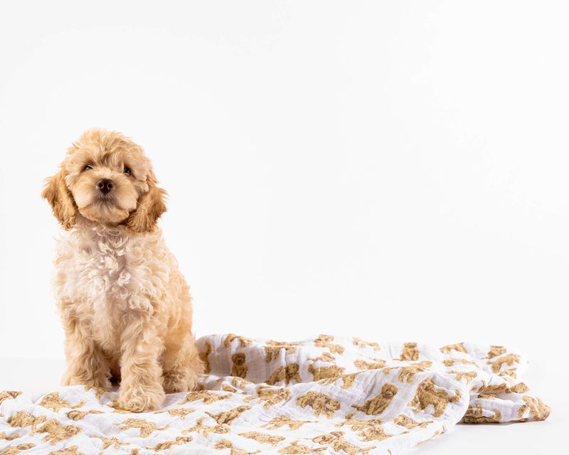 Mud Pie Golden Doodle Print Baby Swaddle Blanket, 47" x 47", - Image 2