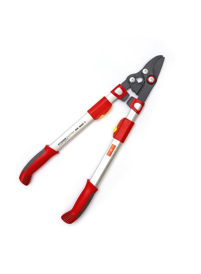 وولف جارتن مقص تقليم الأشجار التلسكوبي RR 900 T Power Cut من WOLF-Garten *** (73CGA008650) - Image 1