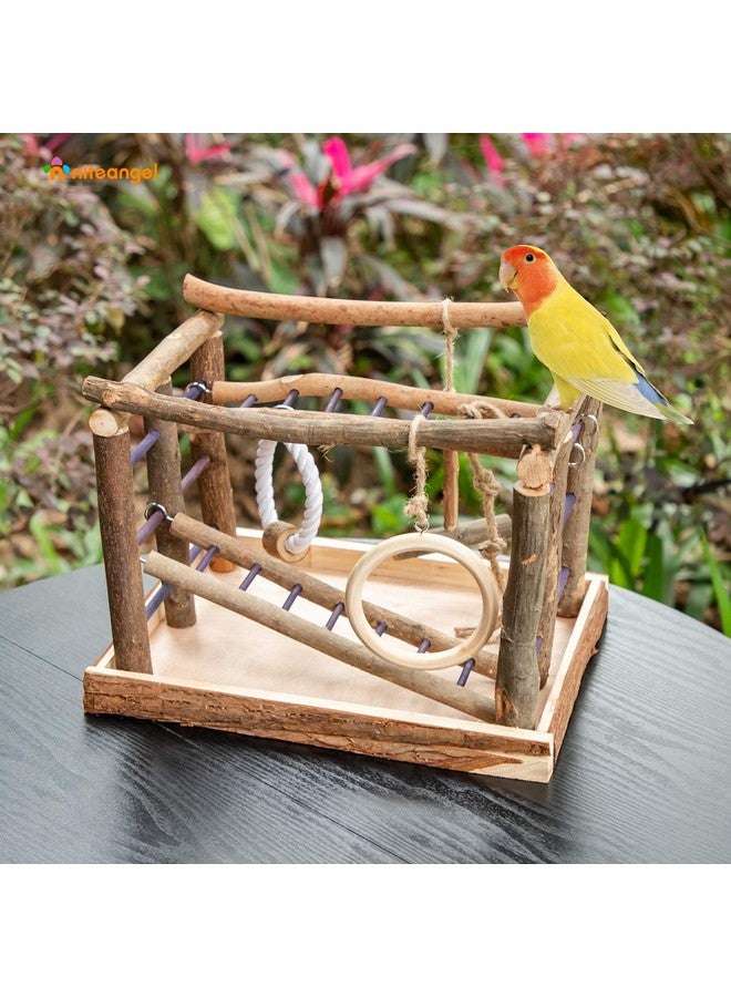 Niteangel Natural Living Playground for Birds, Bird Activity Center - Image 4