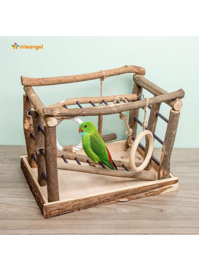 Niteangel Natural Living Playground for Birds, Bird Activity Center - Image 2