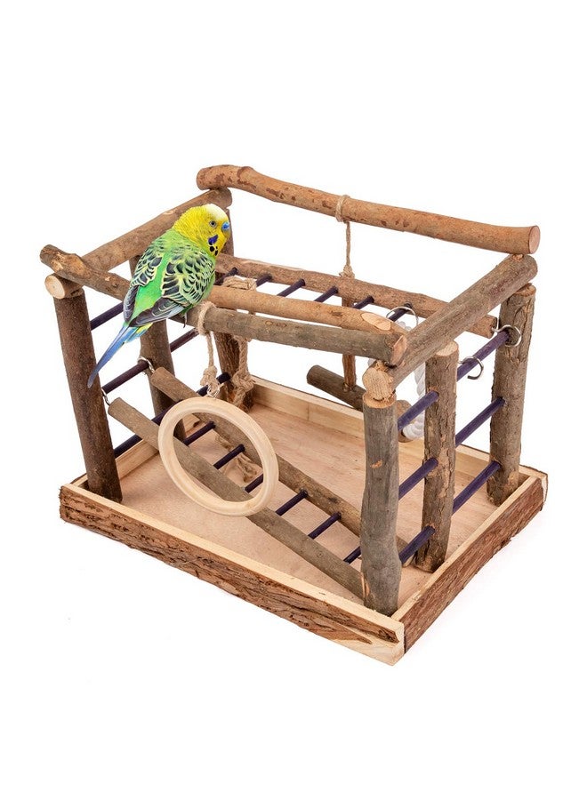Niteangel Natural Living Playground for Birds, Bird Activity Center - Image 1