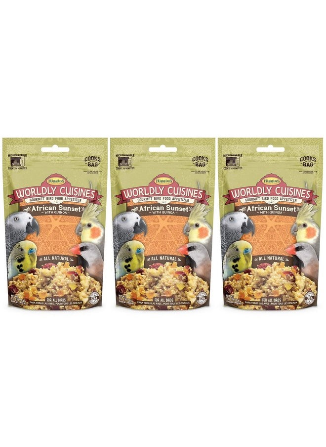 HigginS Higgins 3 Pack of Worldly Cuisines African Sunset Bird Treat, 2 Ounces Each 