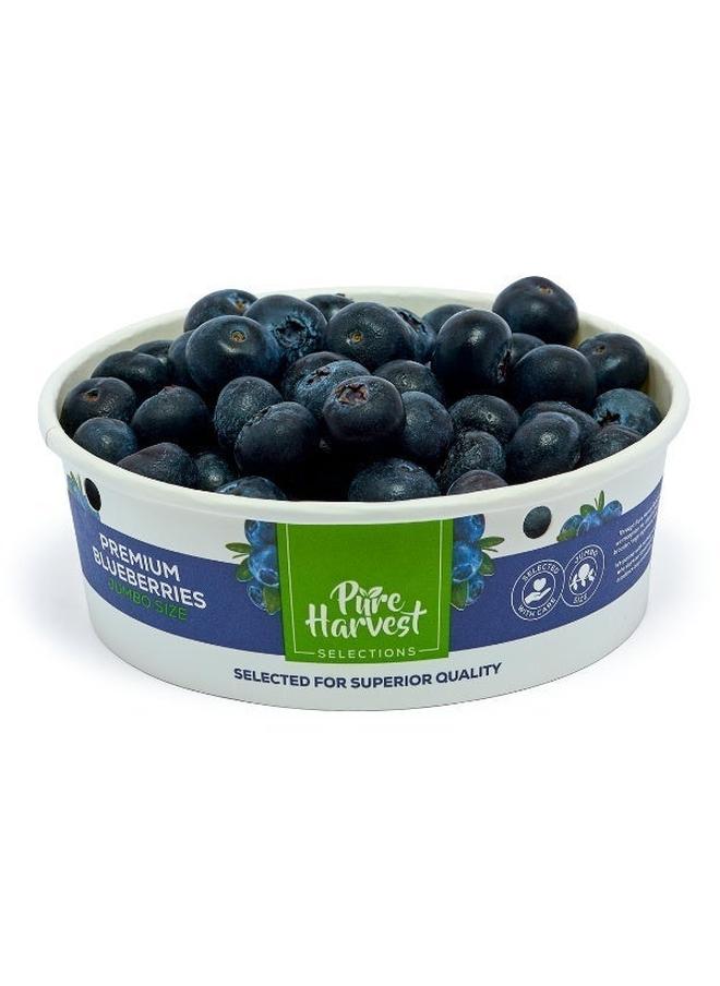 Blueberry Jumbo