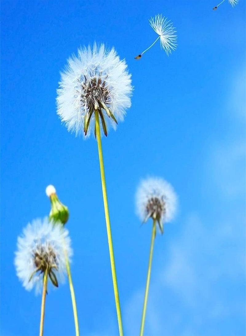 GGOOT 100Pcs Dandelion Seeds Perennial Eye Catching Carpet Flowers for Garden Field Grassland Planting Easy to Maintain Strong Adaptability - Image 1