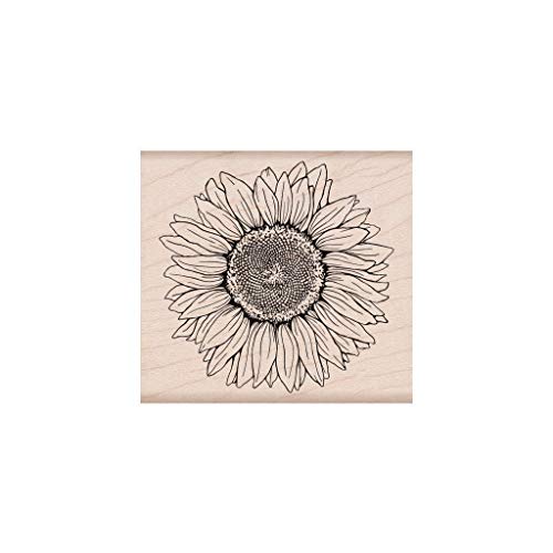 Hero Arts K6288 Wood Stamps, Hero Florals Sunflower - Image 4