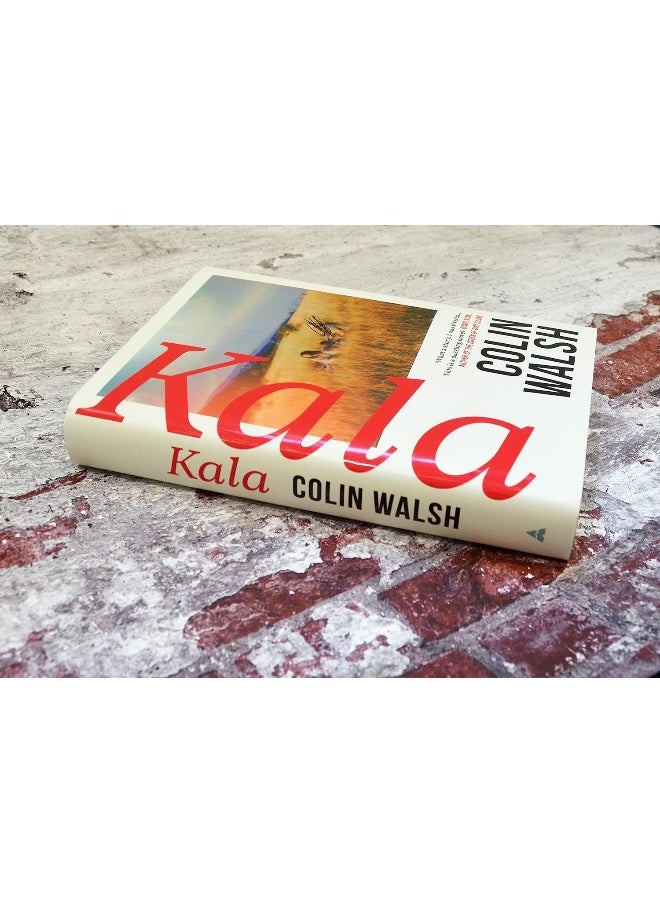 null - Kala: 'A spectacular read for Donna Tartt and Tana Frenc - Image 1