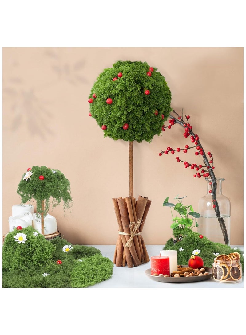 Artificial Moss 100g Faux Moss Artificial Plants Outdoor Dried Moss for Plant Pots Green Moss for Craft Fake Green Plants for Garden Home Office Decoration（50g Light Green+50g Dark Green） - Image 3