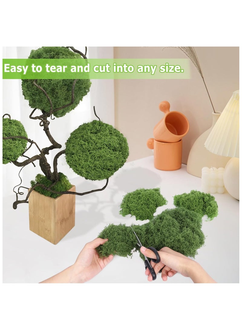 Artificial Moss 100g Faux Moss Artificial Plants Outdoor Dried Moss for Plant Pots Green Moss for Craft Fake Green Plants for Garden Home Office Decoration（50g Light Green+50g Dark Green） - Image 5