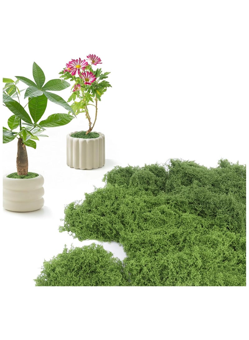 Artificial Moss 100g Faux Moss Artificial Plants Outdoor Dried Moss for Plant Pots Green Moss for Craft Fake Green Plants for Garden Home Office Decoration（50g Light Green+50g Dark Green） - Image 1