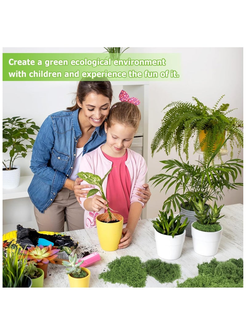 Artificial Moss 100g Faux Moss Artificial Plants Outdoor Dried Moss for Plant Pots Green Moss for Craft Fake Green Plants for Garden Home Office Decoration（50g Light Green+50g Dark Green） - Image 4