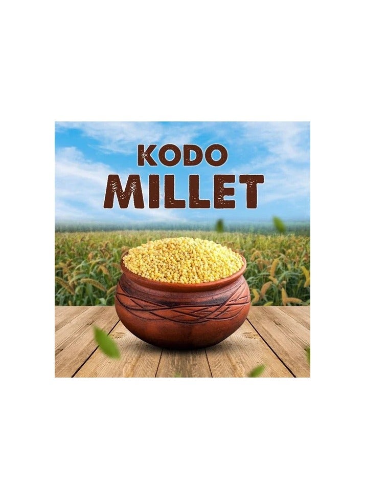 Be Natural Kodo Millet UnPolished – 500 gm - Image 2