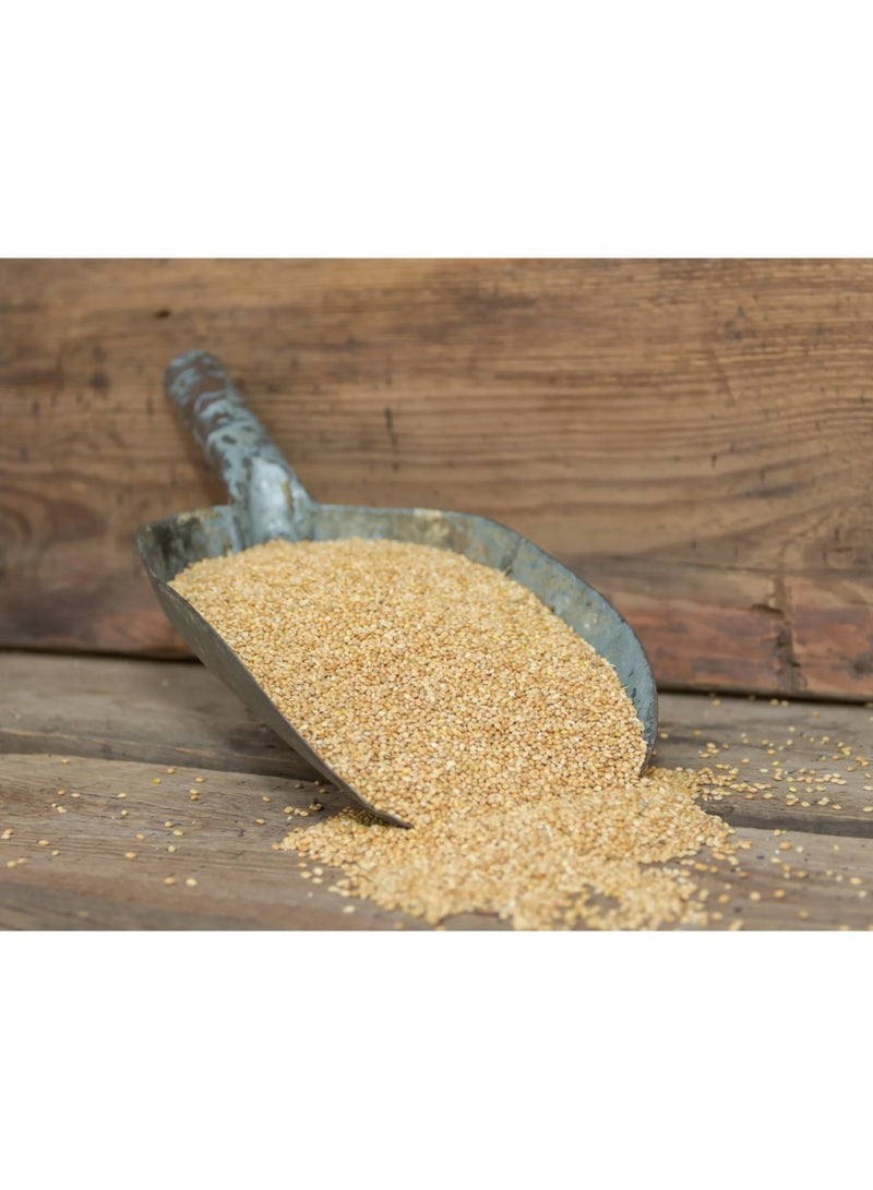 Be Natural Kodo Millet UnPolished – 500 gm - Image 3