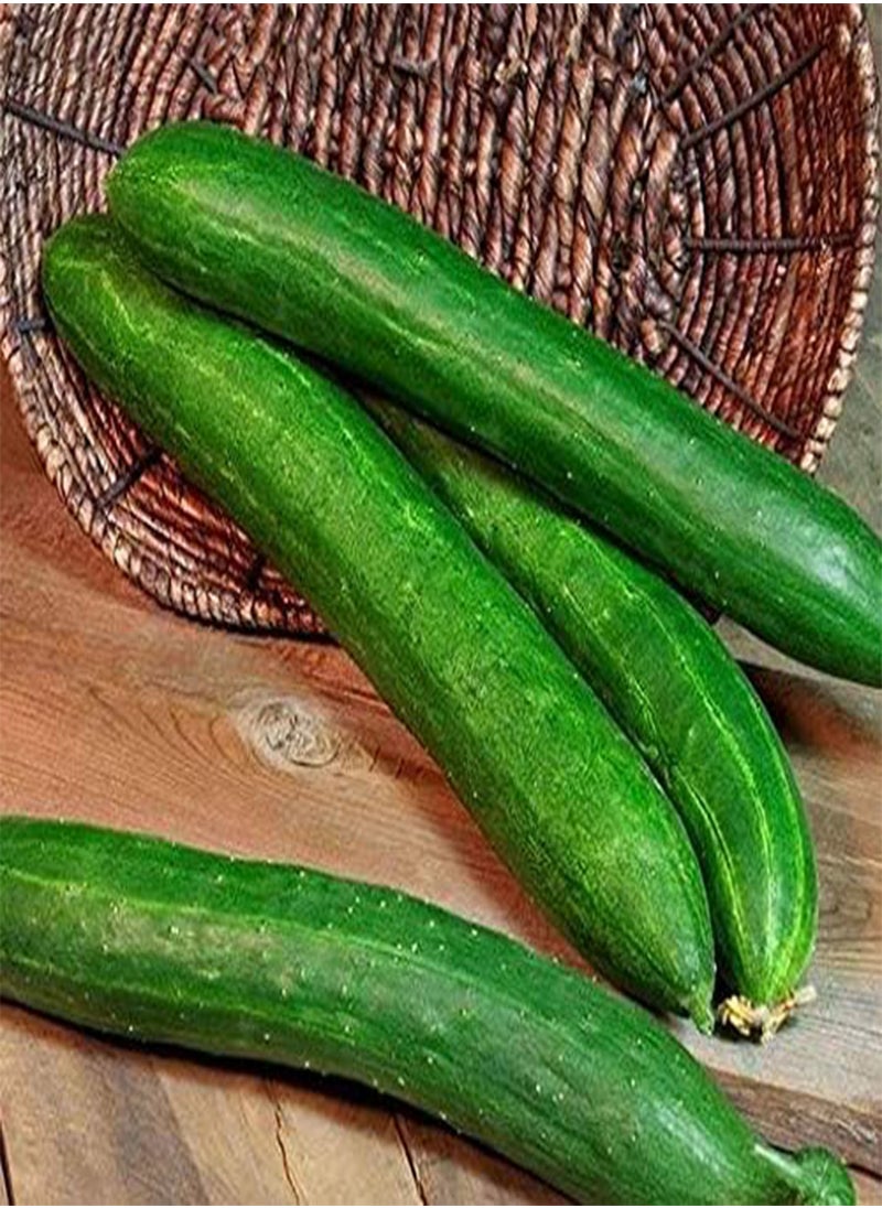 GGOOT - Cucumber Long Self-pollinated Zozula F1 Seeds Pickling Early Indoor Vegetable for Planting Giant Non GMO 10 Seeds - Image 1