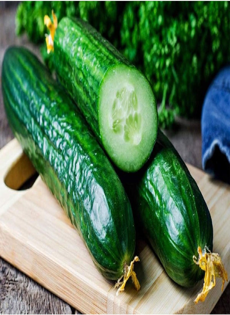 GGOOT - Cucumber Long Self-pollinated Zozula F1 Seeds Pickling Early Indoor Vegetable for Planting Giant Non GMO 10 Seeds - Image 1