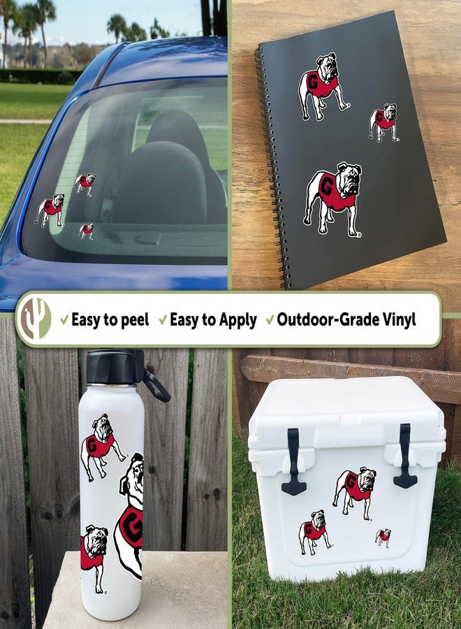 Desert Cactus University of Georgia Sticker Bulldogs UGA Dawgs Vinyl Decals Laptop Water Bottle Car Scrapbook Sheet T3 (Type 3-7) - Image 2