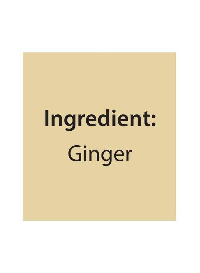 Mehran GINGER POWDER 70GM - Image 2