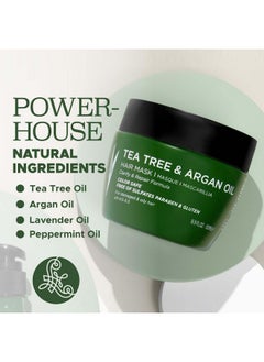 L LUSETA Luseta Tea Tree Oil Hair Mask 16.9 Oz Hydrating & Moisturizing Treatment Soothing For Itchy Scalps And Dandruff  - Image 3