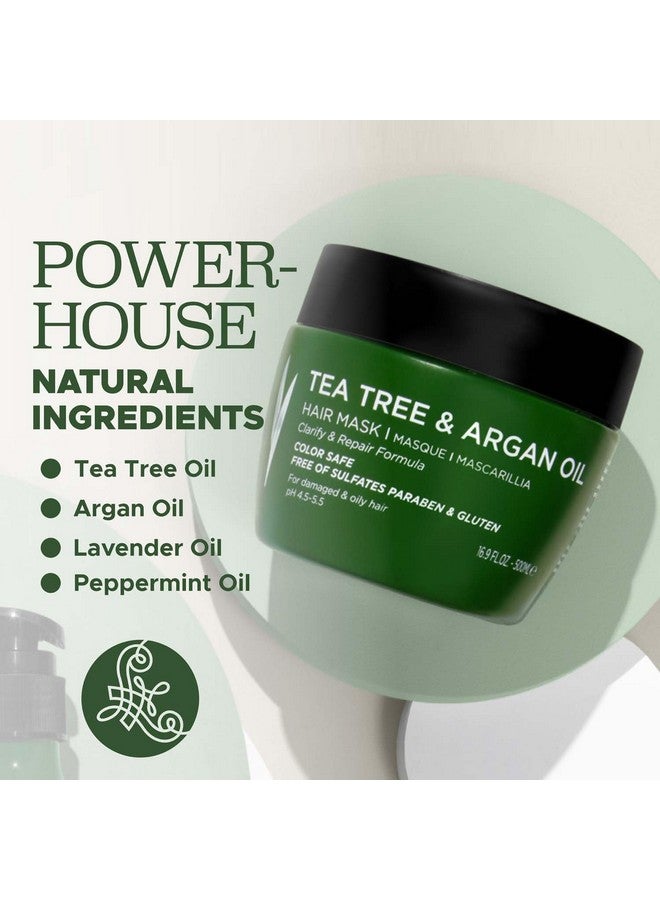 لوسيتا قناع الشعر بزيت شجرة الشاي من لوسيتا، 16.9 أونصة، علاج مرطب ومهدئ لحكة فروة الرأس والقشرة - Image 3