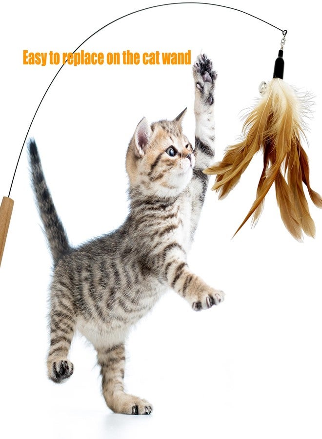 CATENEED Cat Feather Toys Refill, 16 Pieces Cat Wand Replacement Feathers Toy for Indoor Cats - Image 2