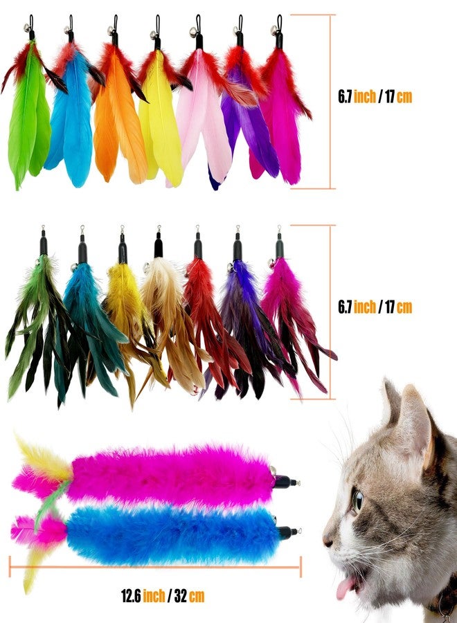 CATENEED Cat Feather Toys Refill, 16 Pieces Cat Wand Replacement Feathers Toy for Indoor Cats - Image 3